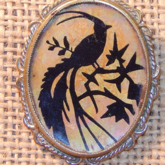 Vintage Jewelry - Very Unique Iridescent Bird Brooch/Pin
